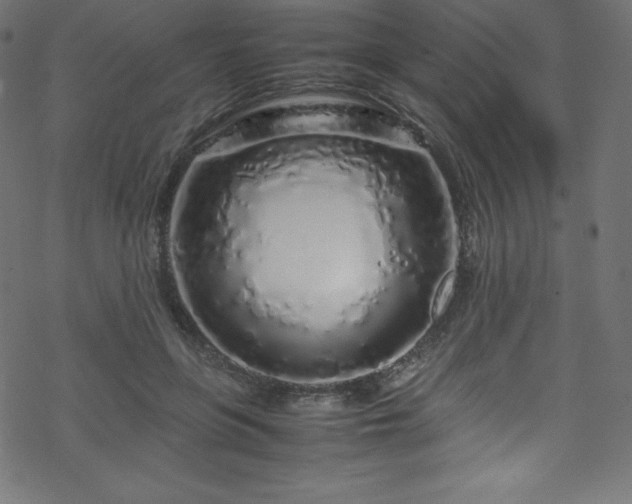 X0000070230551200605301458