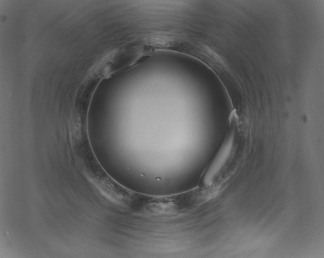 X0000070230552200605301458