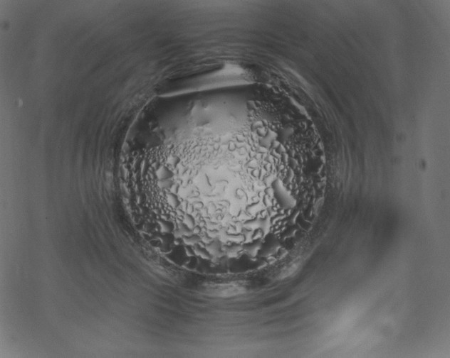 X0000070230553200605301458