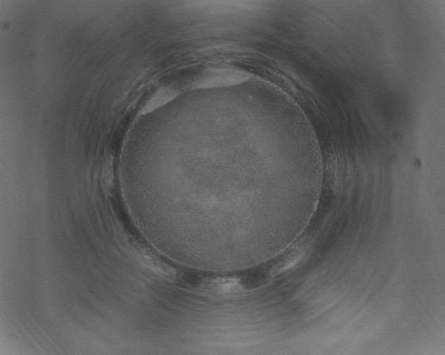 X0000070230554200605301458