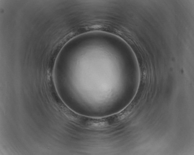 X0000070230555200605301458