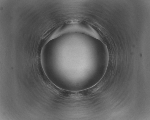 X0000070230556200605301458