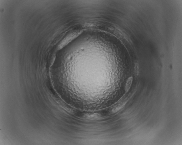 X0000070230557200605301458