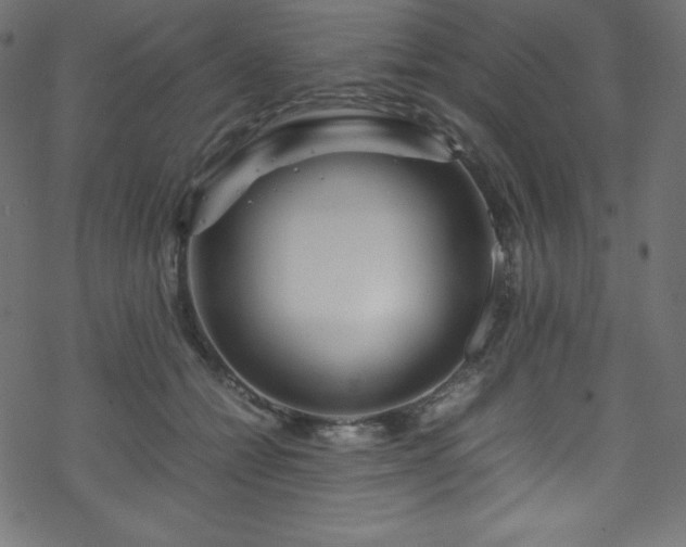 X0000070230558200605301458