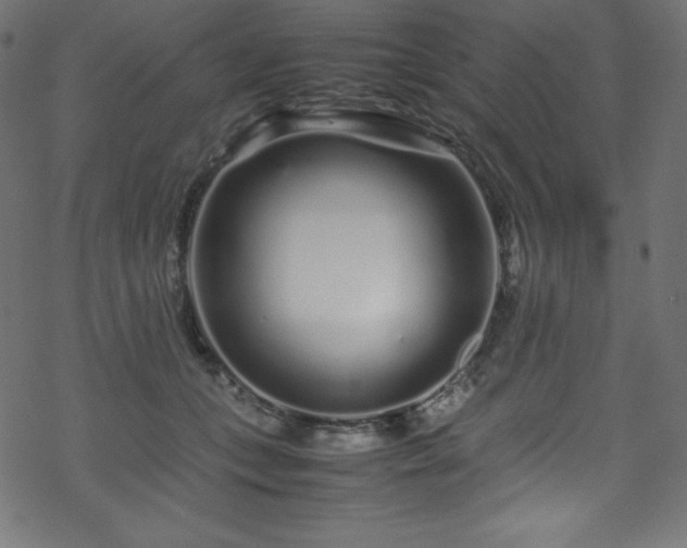 X0000070230559200605301458