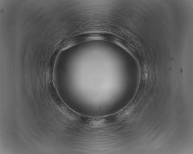 X0000070230560200605301458