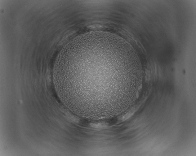 X0000070230561200605301458