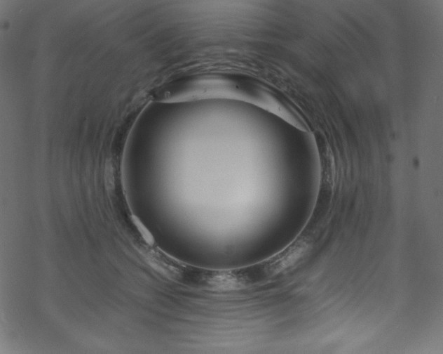 X0000070230562200605301458