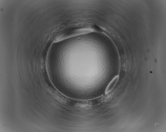 X0000070230563200605301458