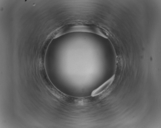 X0000070230564200605301458