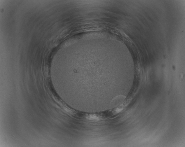 X0000070230565200605301458