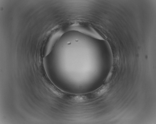 X0000070230566200605301458