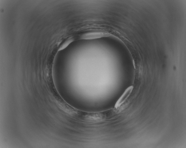 X0000070230567200605301458