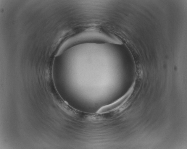 X0000070230568200605301458