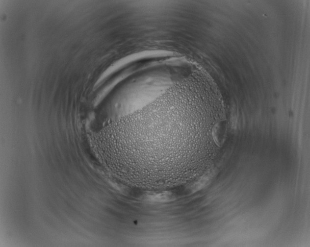 X0000070230569200605301458