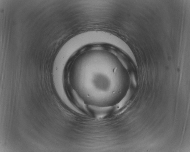 X0000070230570200605301458