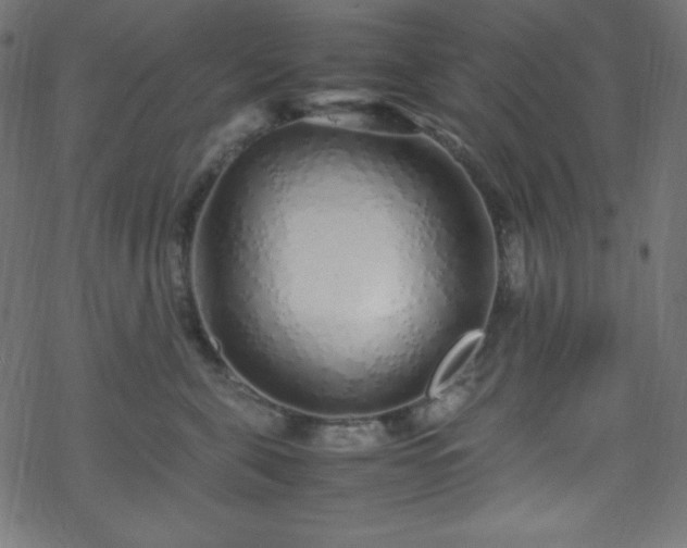 X0000070230571200605301458