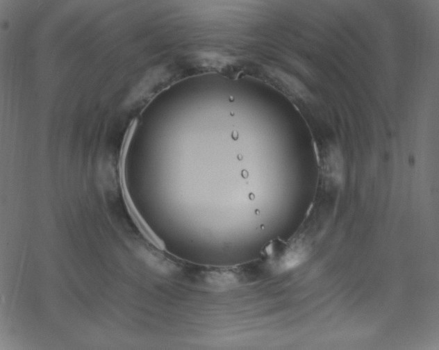 X0000070230572200605301458