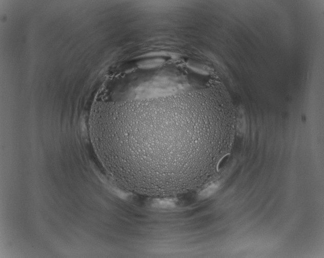 X0000070230573200605301458