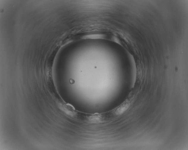 X0000070230574200605301458