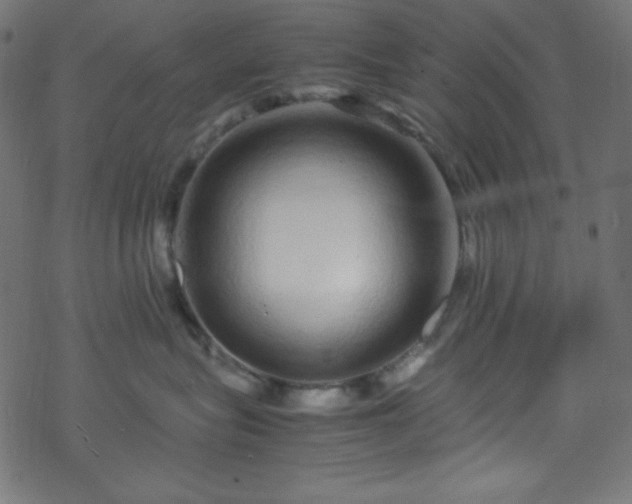 X0000070230575200605301458