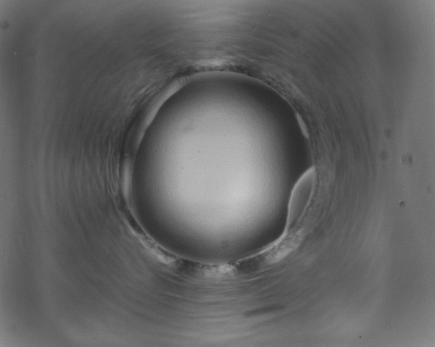 X0000070230576200605301458