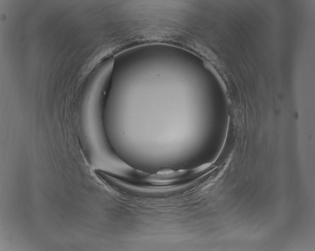 X0000070230577200605301458