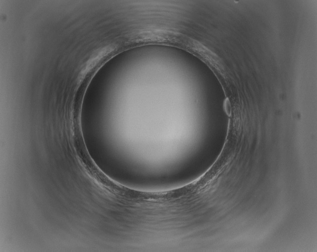 X0000070230578200605301458