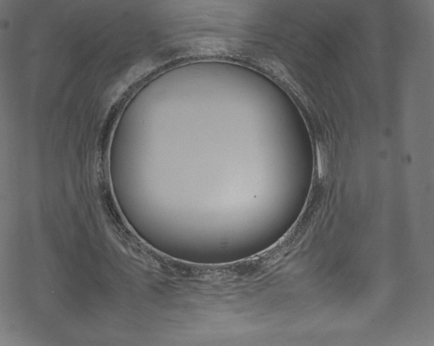 X0000070230579200605301458