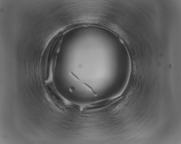 X0000070230580200605301458