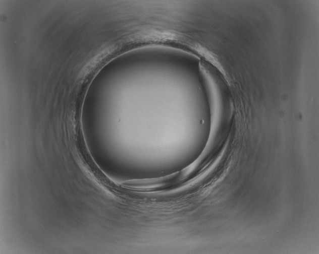 X0000070230581200605301458