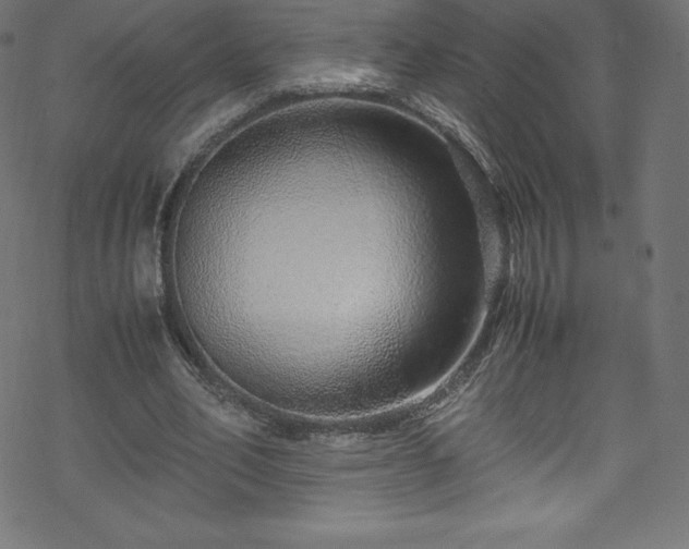 X0000070230582200605301458