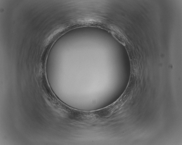 X0000070230583200605301458