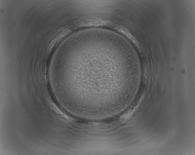 X0000070230585200605301458