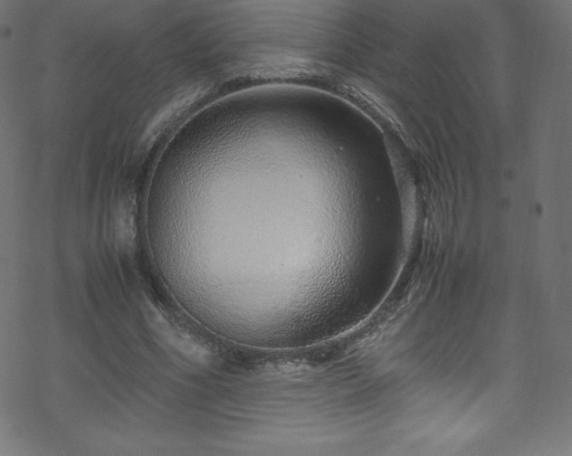 X0000070230586200605301458