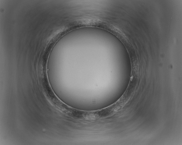 X0000070230587200605301458