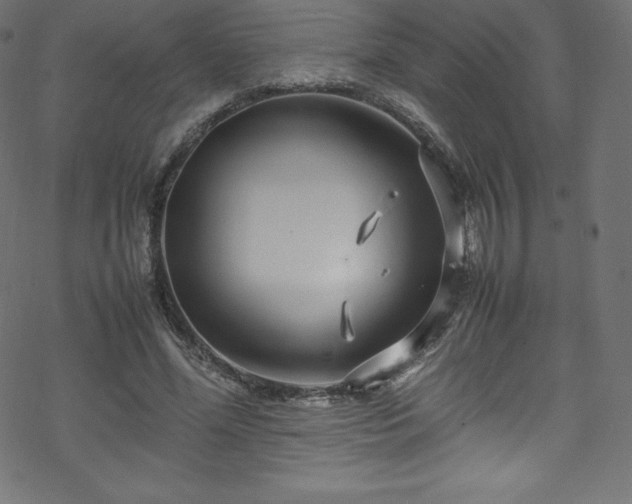 X0000070230588200605301458