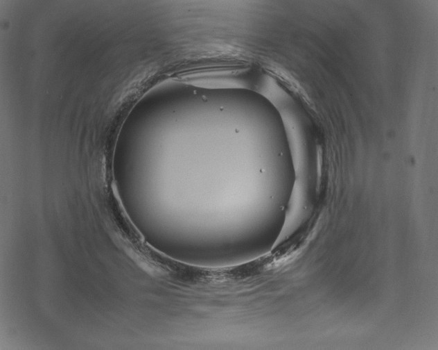 X0000070230589200605301457