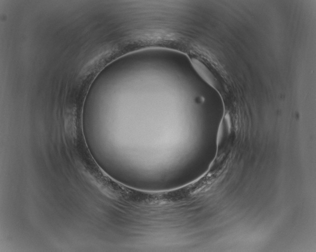 X0000070230590200605301457