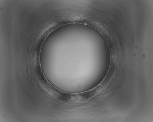 X0000070230591200605301457