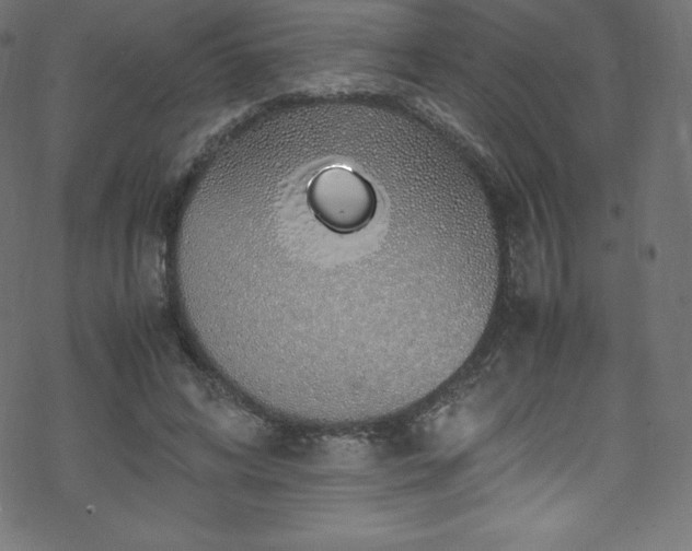 X0000070230592200605301457