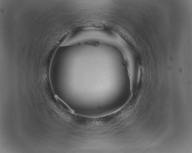 X0000070230593200605301457