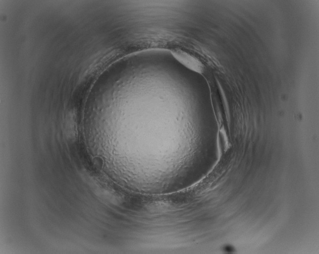 X0000070230594200605301457