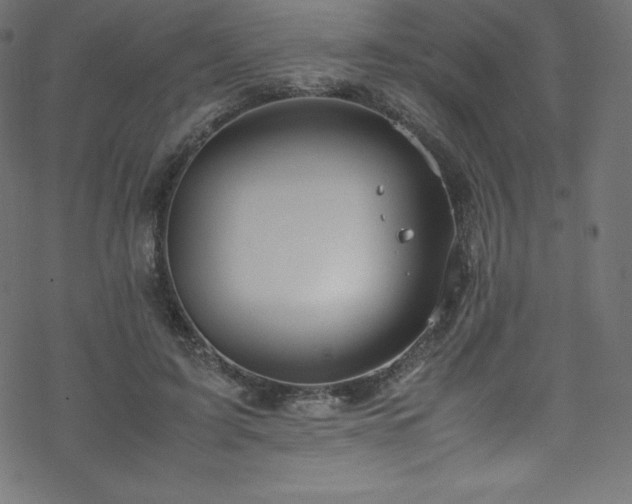 X0000070230595200605301457