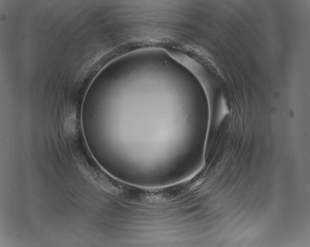 X0000070230596200605301457