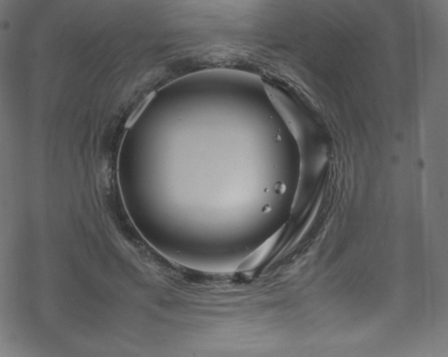 X0000070230597200605301457