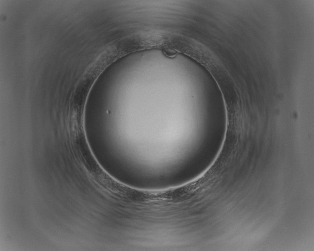 X0000070230598200605301457