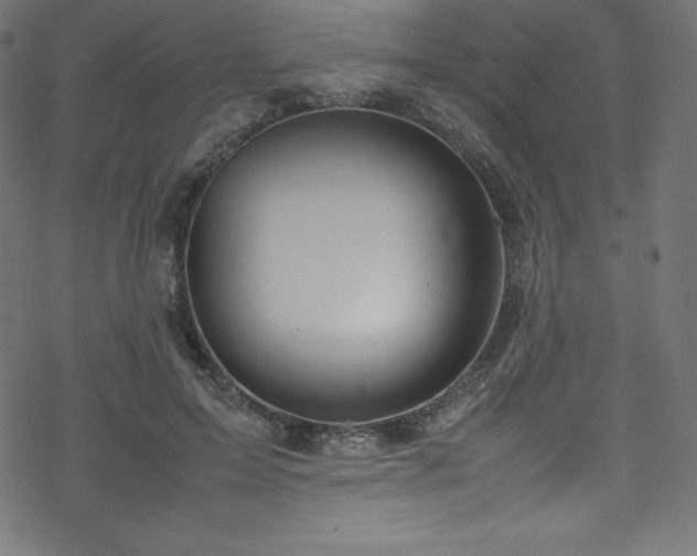 X0000070230599200605301457