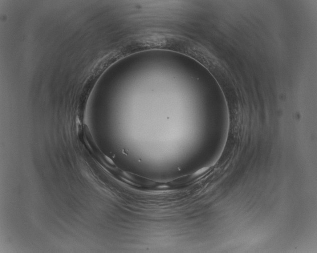 X0000070230600200605301457