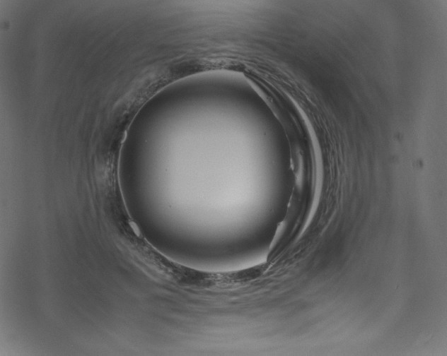 X0000070230601200605301457